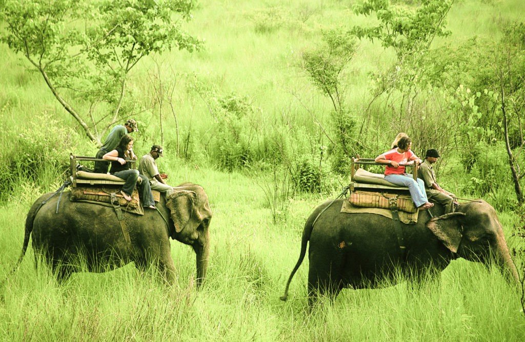Chitwan -Top 20 best places to see in Nepal
