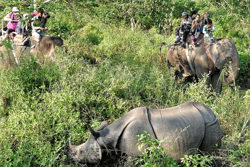  Never Ever Visit Nepal- chitwan