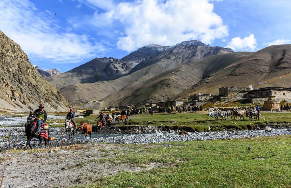 dolpo Trek - one of the most papular trekking regions in Nepal