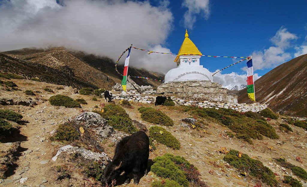 Popular Trekking Regions in Nepal