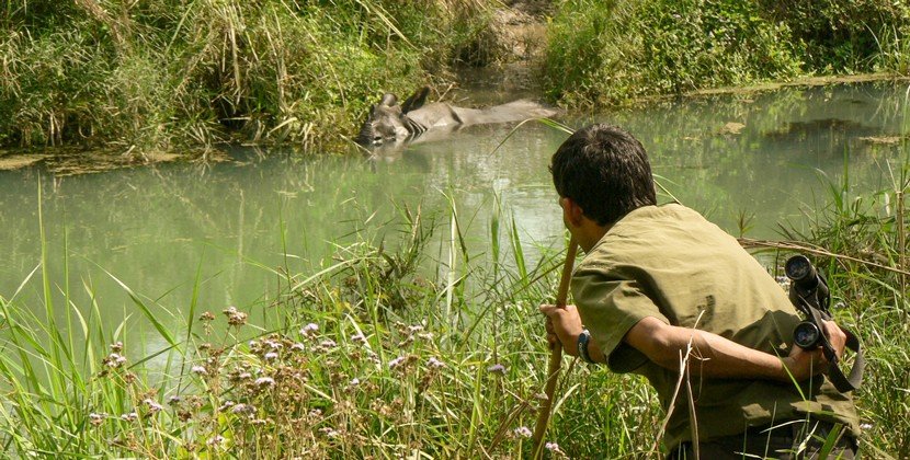 Rhino sighting on nature walk: Chitwan Jungle Safari Tour