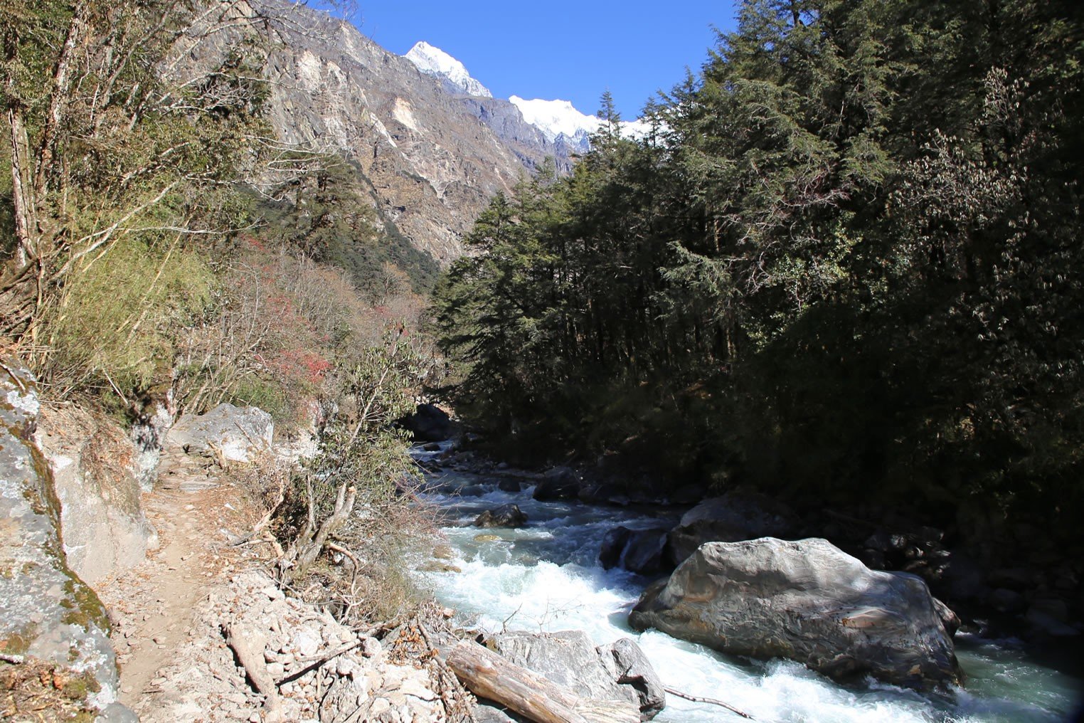 Fantastic River Trails of Langtang Region