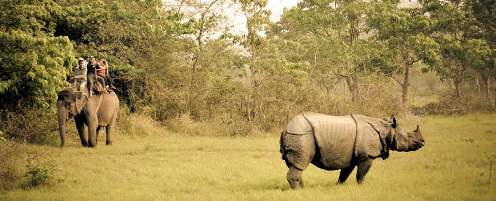 Chitwan