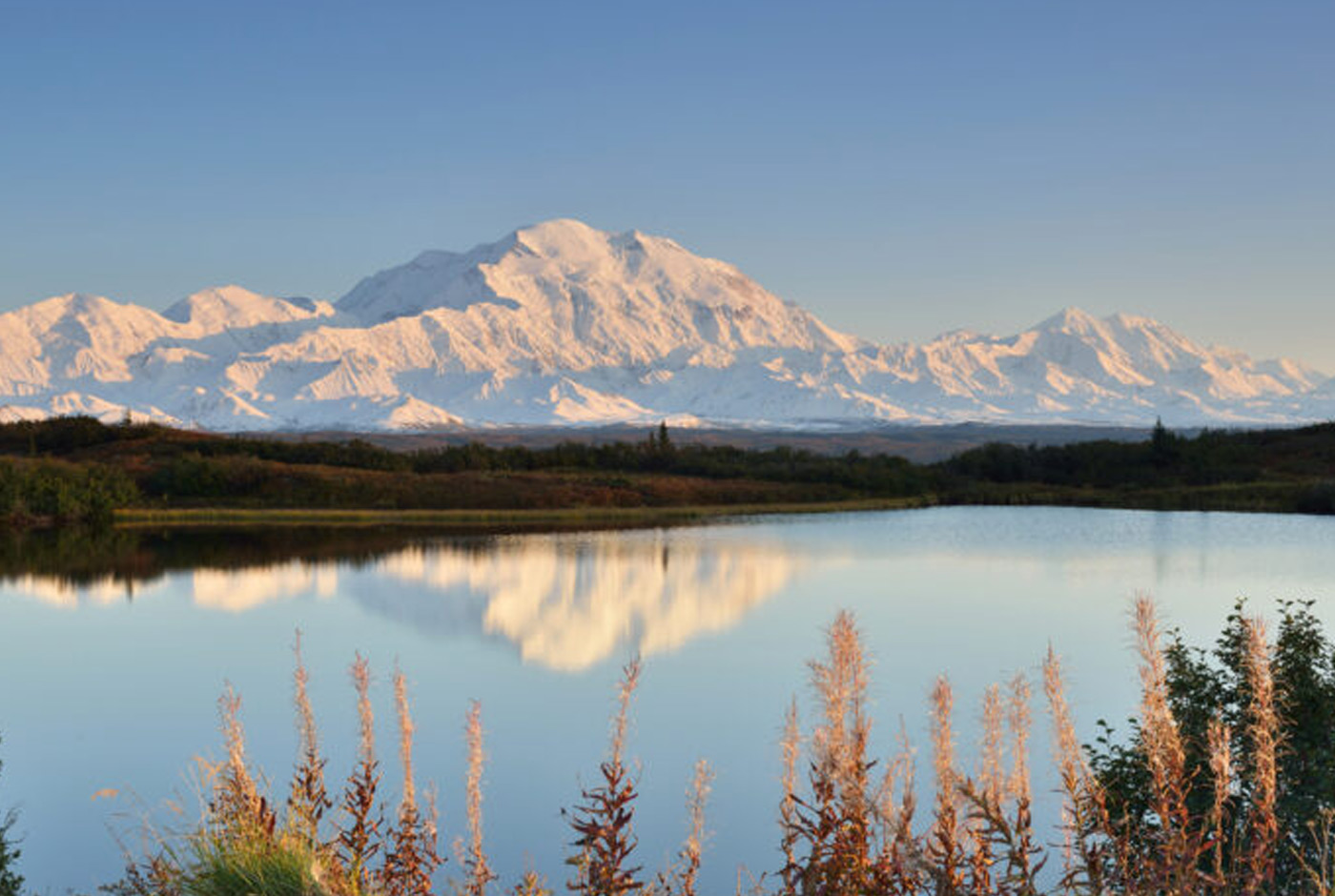 Denali Highest Mountain In North America