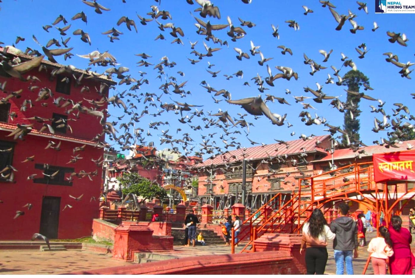 Birds flying in Pashupathinath  a hindu temple in Kathmandu, Nepal