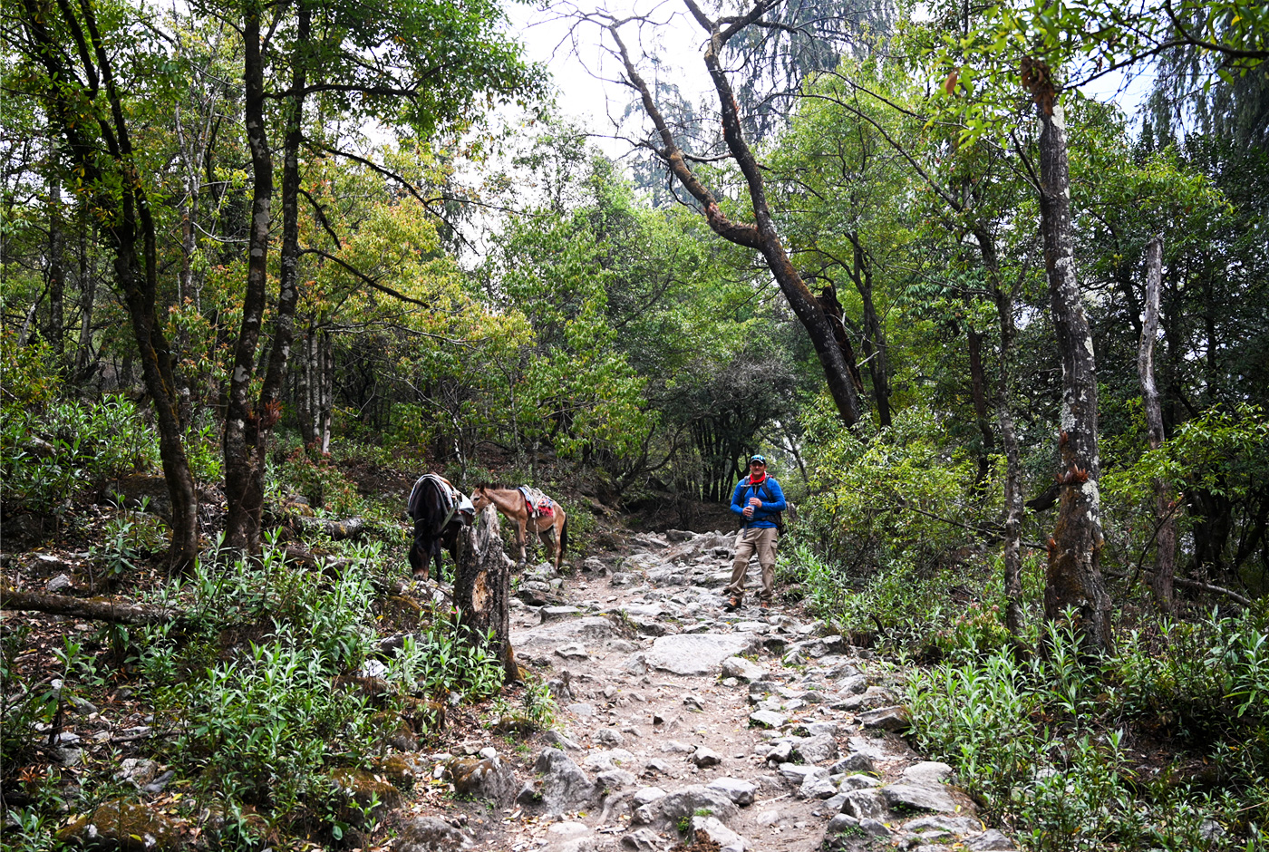 Explore The Multiple Landscape Forms Of Manaslu Circuit