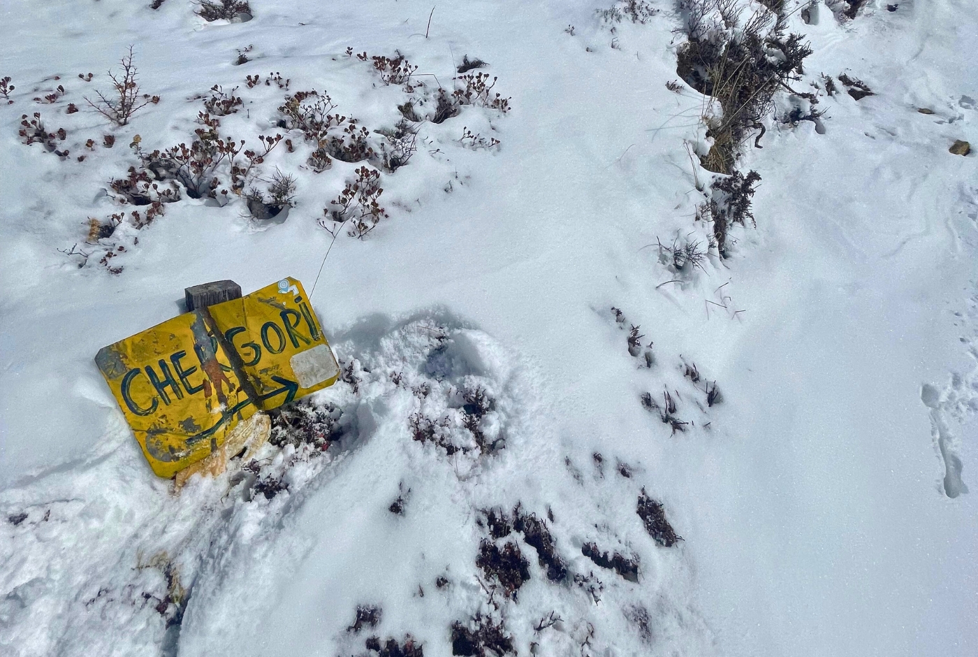 Way to Chergori, Langtang Valley Trek