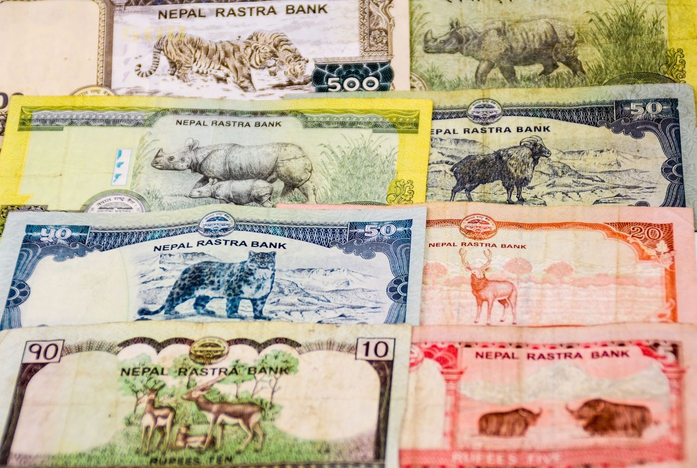 What Is Nepal Currency