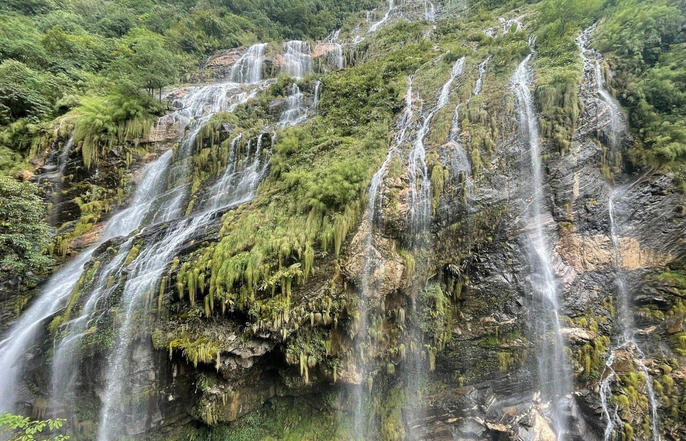 Way to Deurali  Pujinam Barah   Annapurna Base Camp Best Trek