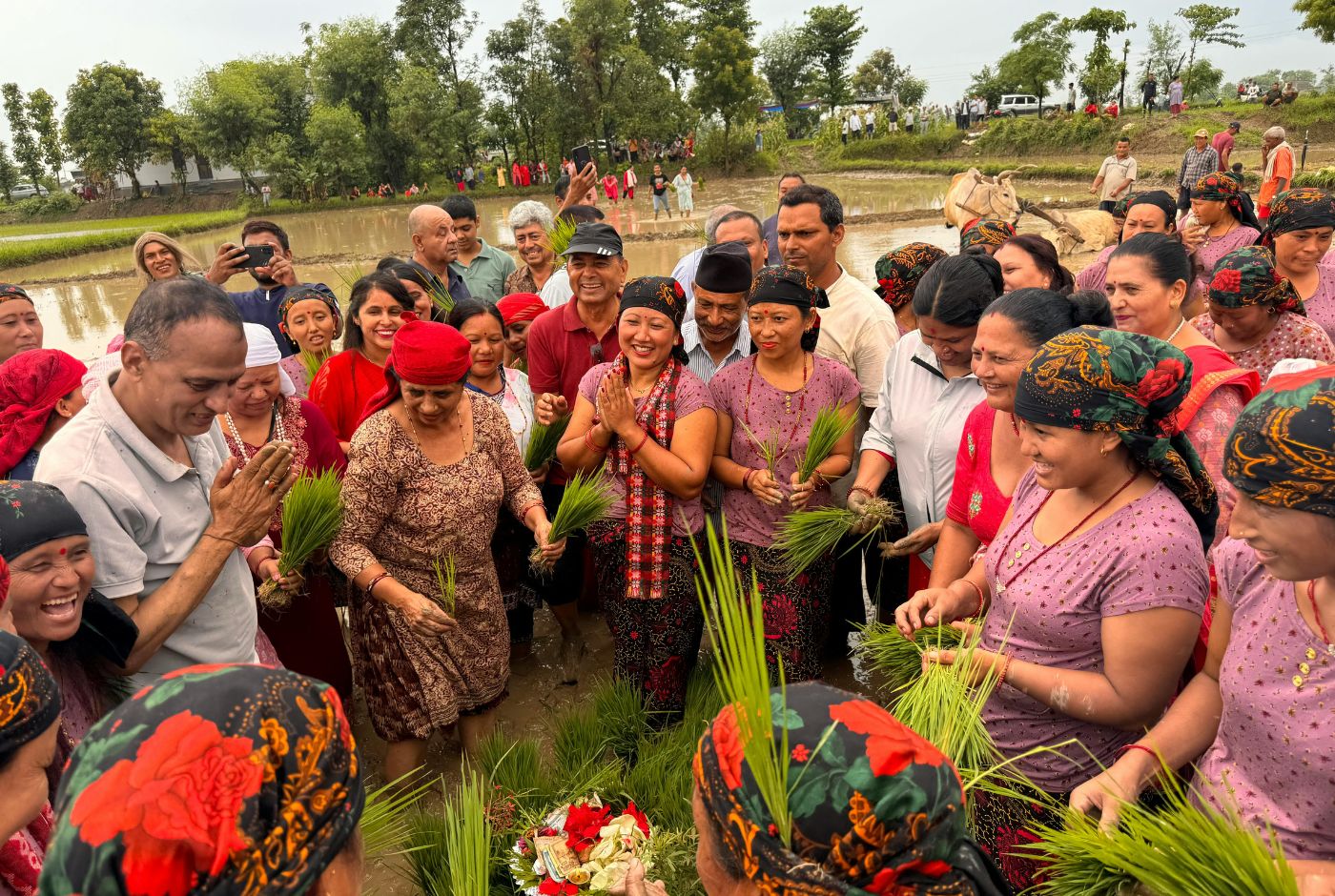 Rice Planting Festival