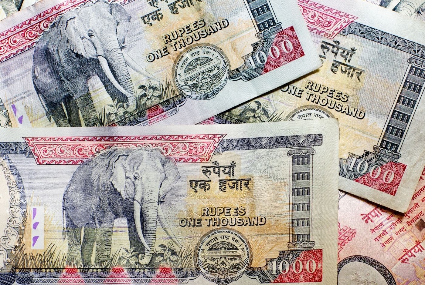 Nepalese Currency