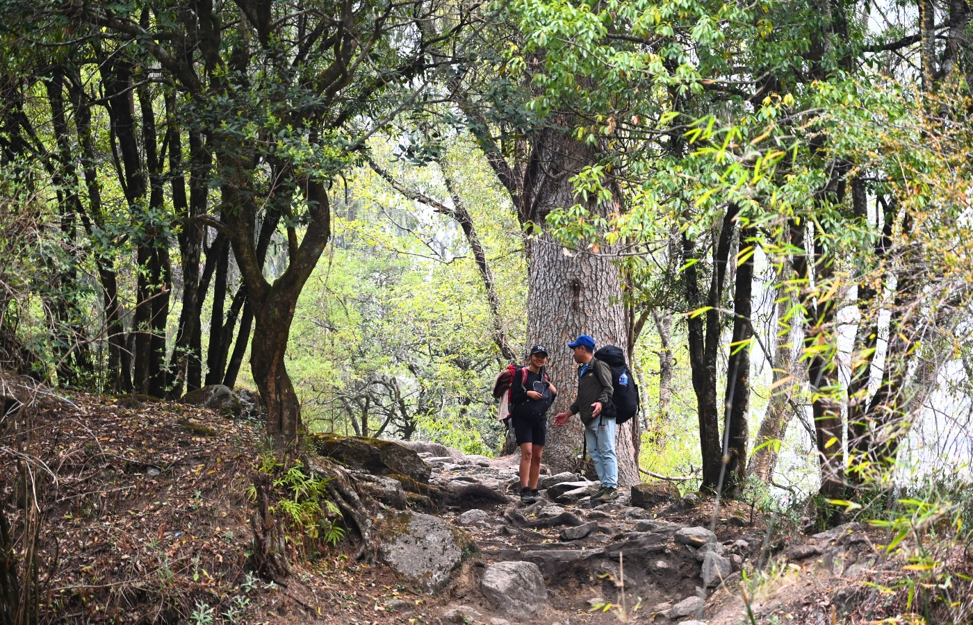 Way to hidden lake of Manaslu Trip