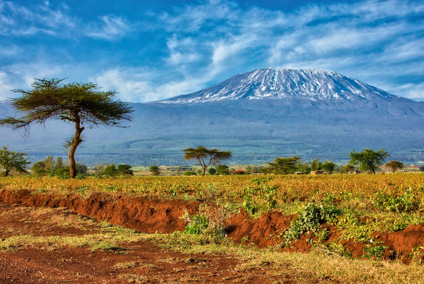 Which one  is better Mount Kilimanjaro or Mount Everest
