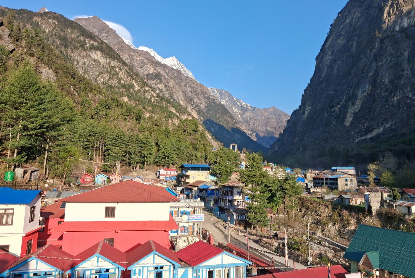 Panoramic view of Chame village surrounded by pine forest and steep Himalayan valley walls