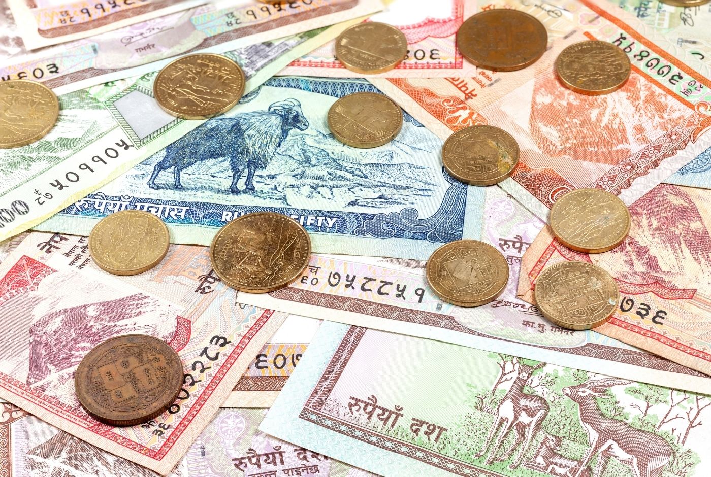 Nepal Money