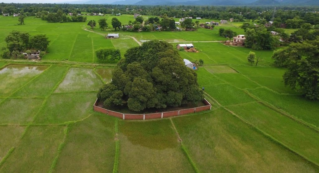 Tarai, a plain land nepal