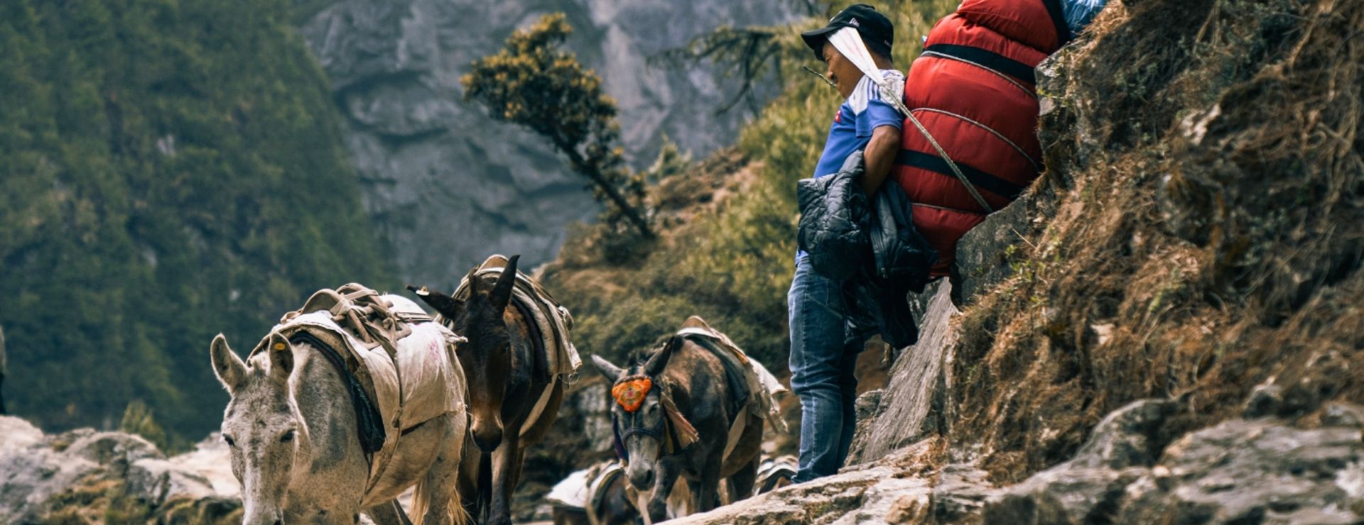 Porter Guide Porters in Nepal for Trekking: Best Trekking porter & guide
