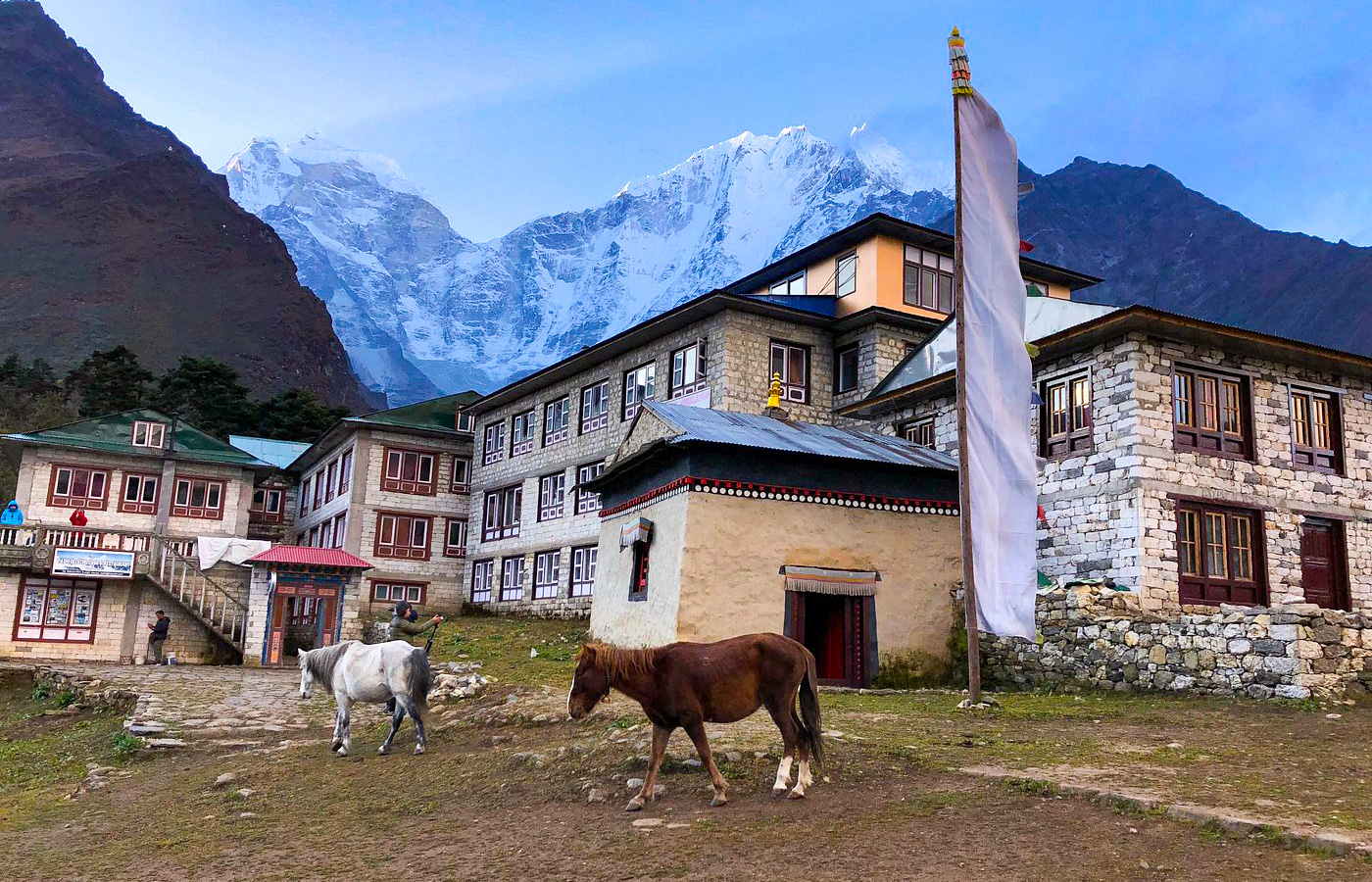 Tengboche Teahouses