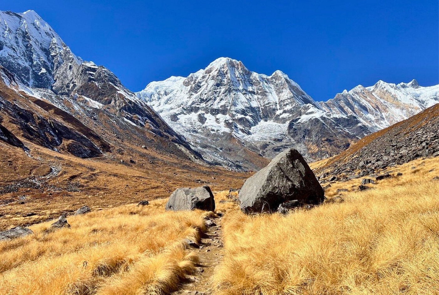 Trail path through golden grassland leading toward snow-capped Annapurna peaks inside the Sanctuary