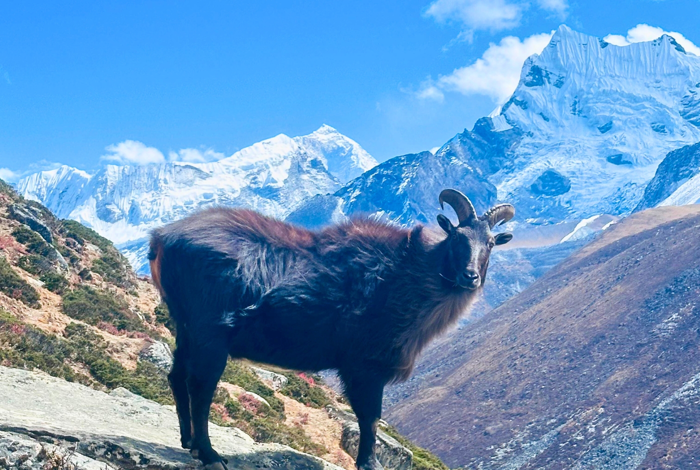 Where Is Mount Everest Location Country Height Facts