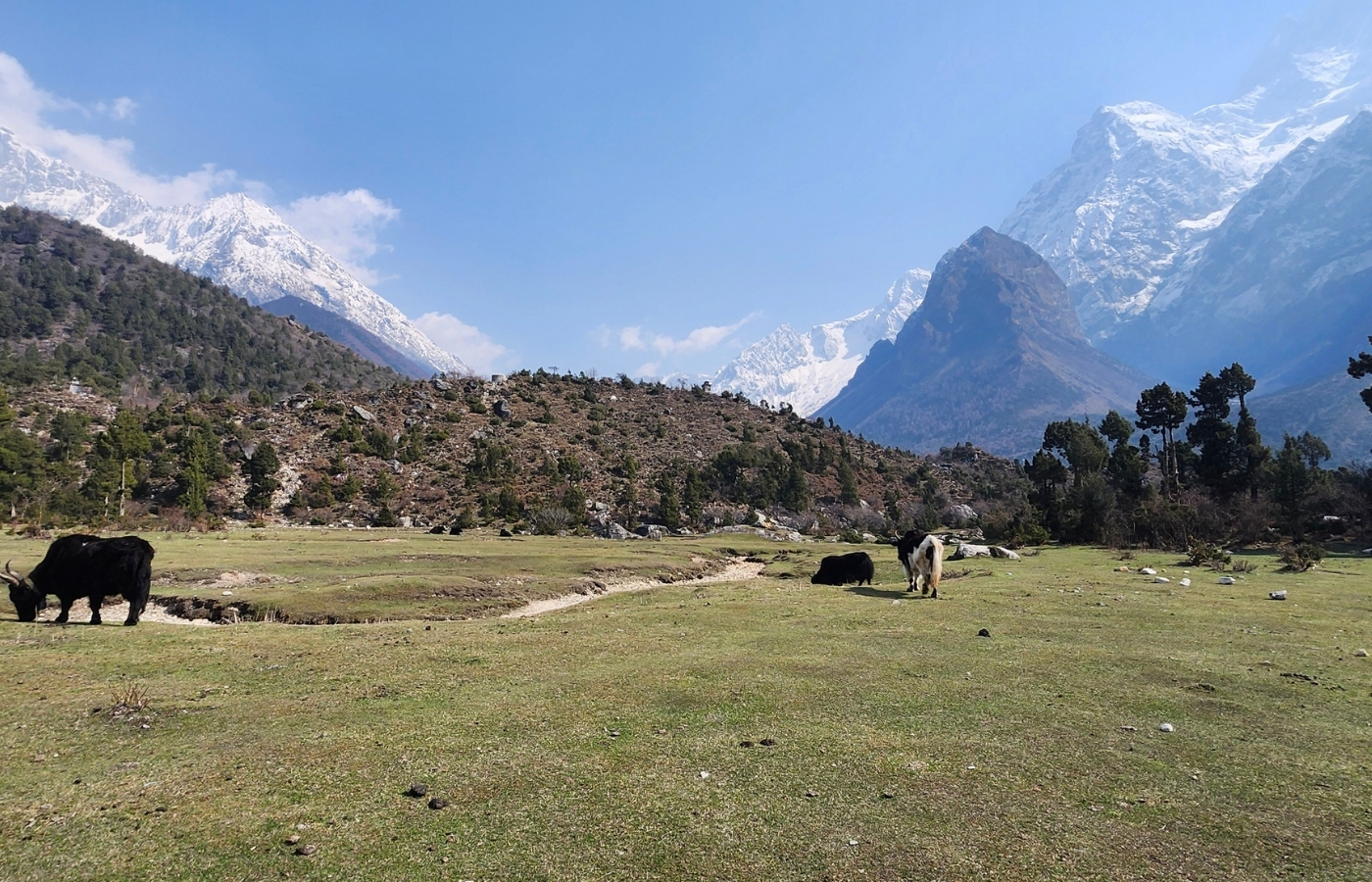All you need to know about Manaslu   Samagaun