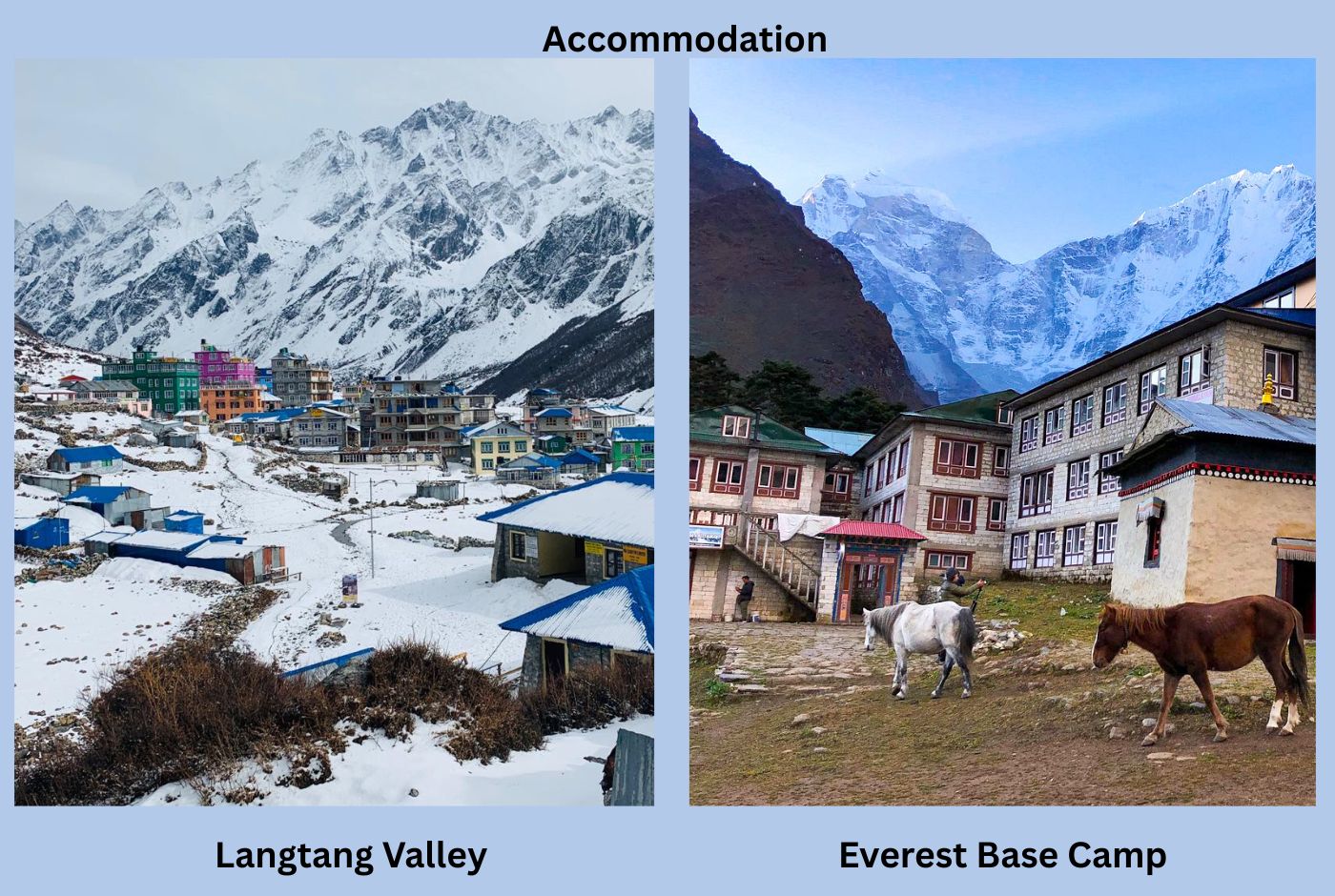 Accommodation comparison showing Langtang Valley teahouses and Everest Base Camp lodges