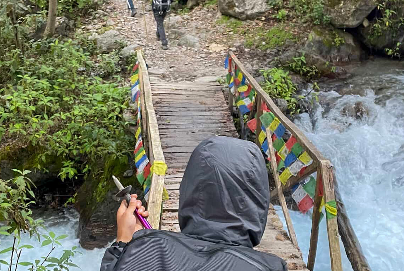 Trekkers crossing wooden bridge over rushing stream through dense forest on descent from Lama Hotel to Syabrubesi
