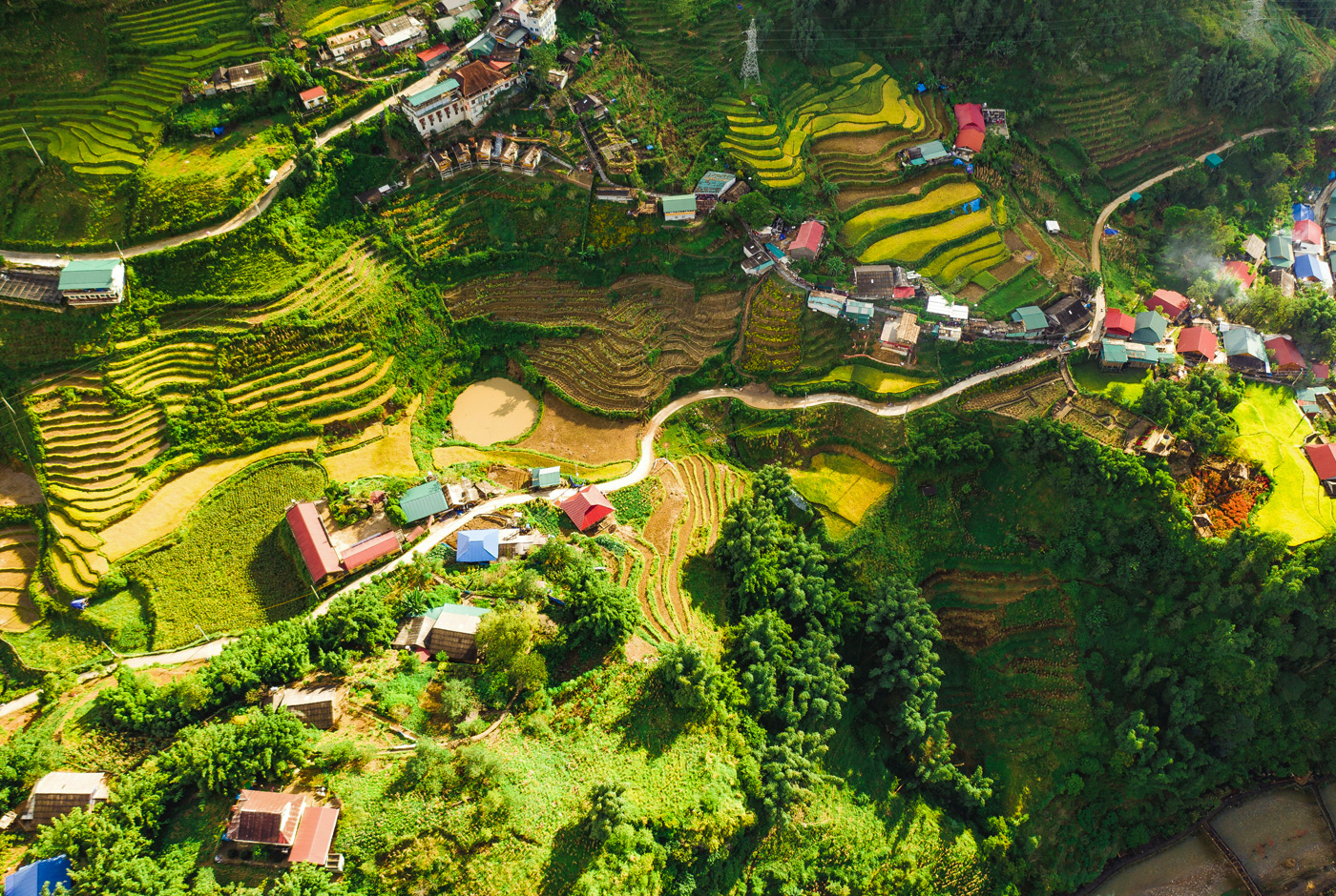 Vibrant Terraced Landscape Of Sapa Vietnam.