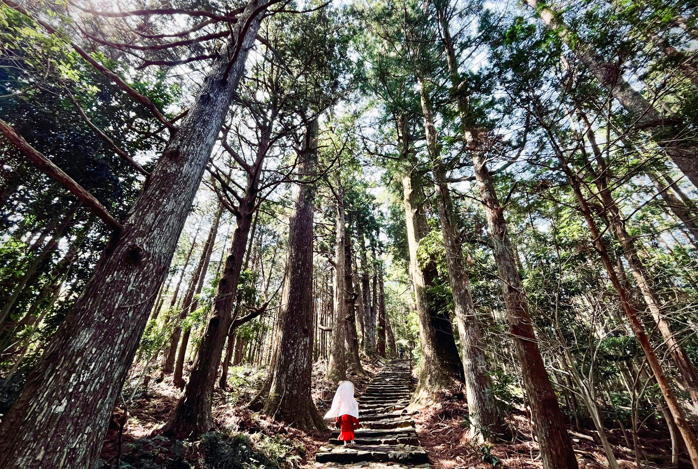 Kumano Kodo Pilgrimage Route